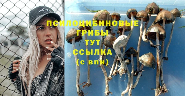 Альфа ПВП Арсеньев