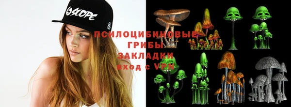 Альфа ПВП Арсеньев