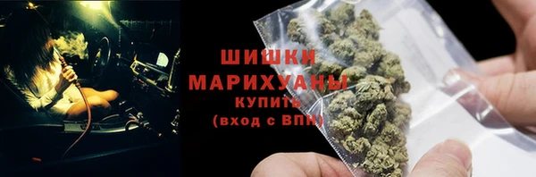 сатива Армянск
