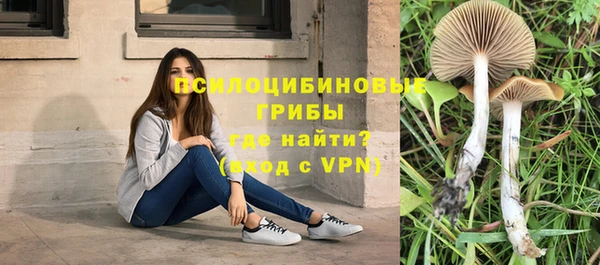 Альфа ПВП Арсеньев