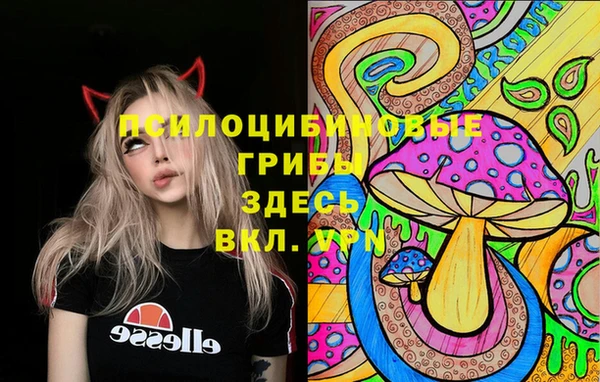 каннабис Аркадак